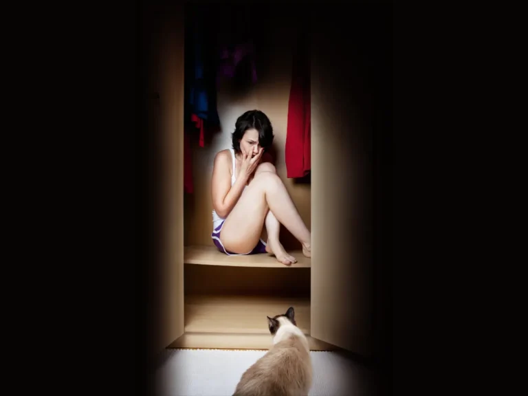 Facts You Should Know About Phobias