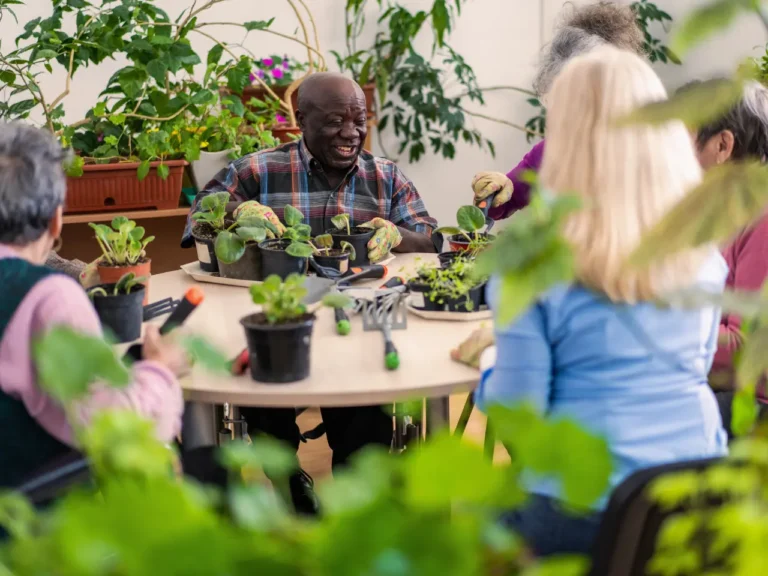 High Level vs Low-Level Residential Care