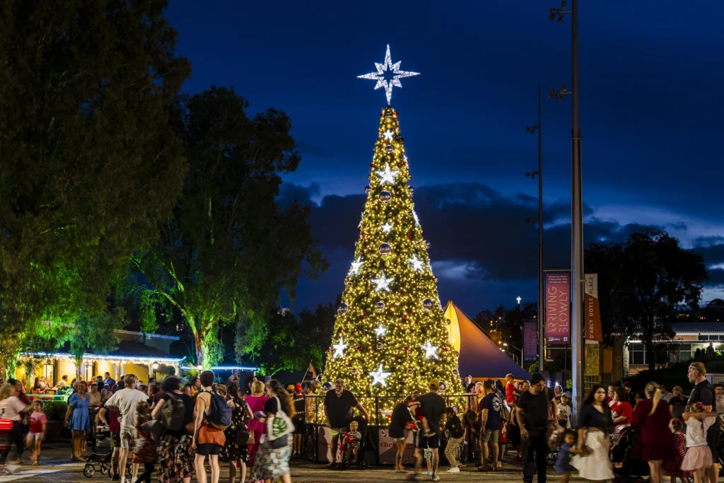The Christmas tree in D’Arcy Doyle Place Central Ipswich