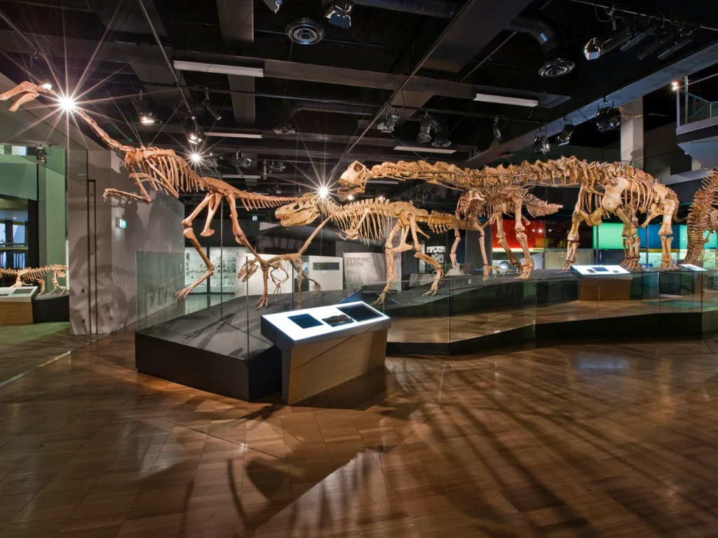 Melbourne-museum